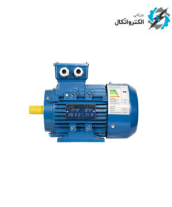 الکتروموتور1 اسب سه فاز 3000RPM ارسم گوانگلو B14