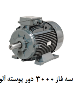 الکتروموتور گاماک 4KW سه فاز 3000 دور