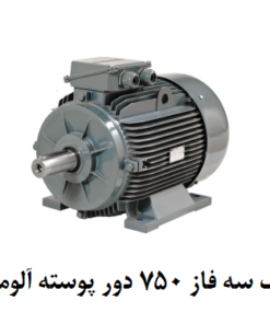 الکتروموتور گاماک 3KW سه فاز 750 دور