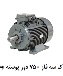 الکتروموتور گاماک 45KW سه فاز 750 دور