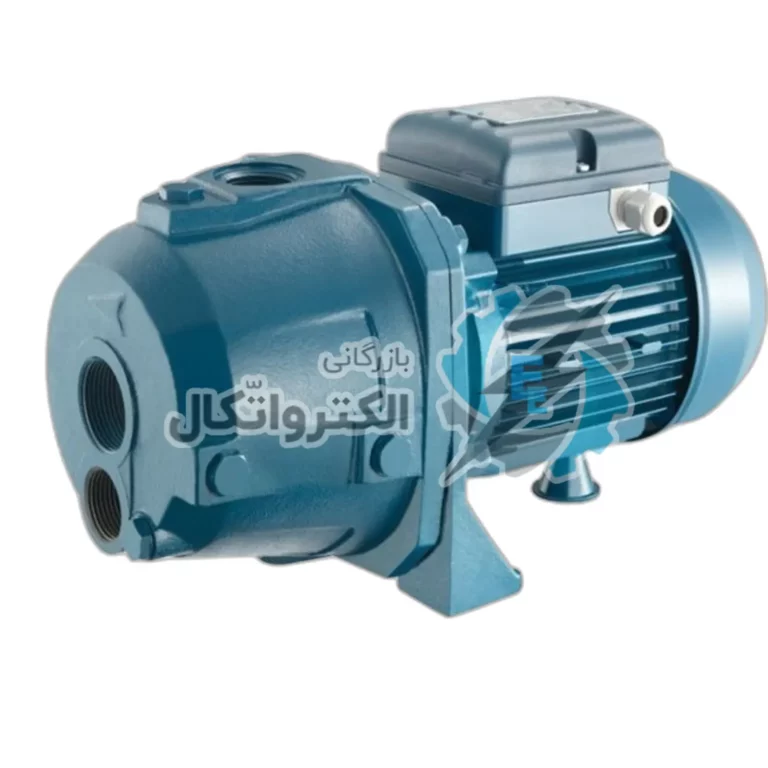 پمپ آب خانگی پنتاکس AP100/00