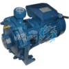 1.5 اسب - 2 پروانه پنتاکس ا DB160/00